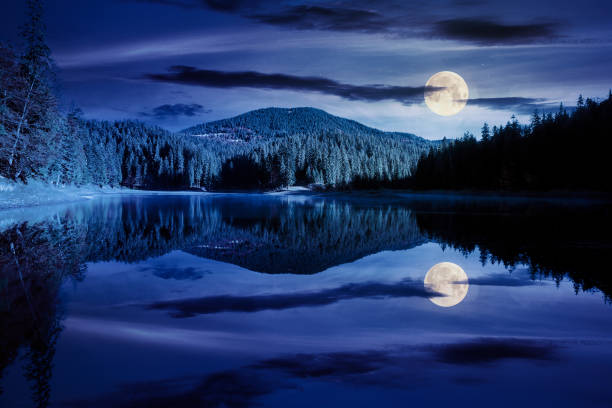 istock mountain lake among the forest at night 1269899770
