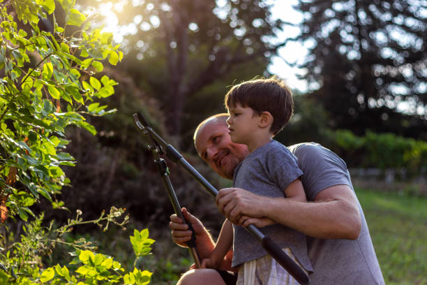 istock Happy father with his son working in the garden. 1269902421