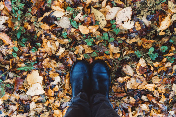 istock Feet - Boots on autumn leaves 1269902605