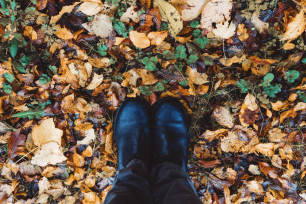 istock Feet - Boots on autumn leaves 1269902678