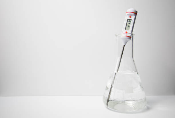 a digital thermometer measuring the temperature of a liquid in a glass erlenmeyer flask. - termómetro digital imagens e fotografias de stock