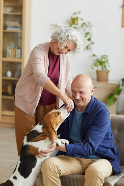 istock Senior Couple Playing with Dog at Home 1269904211