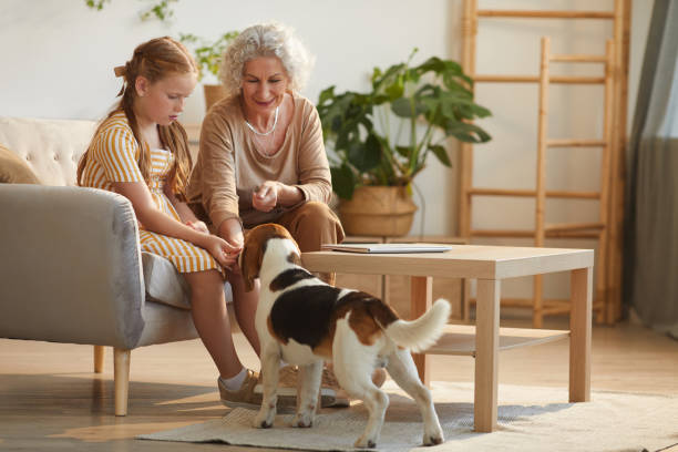 istock Happy Grandmother Playing with Pet Dog 1269904299