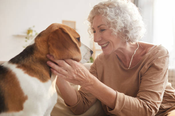 istock Smiling Senior Woman Playing with Dog 1269904330