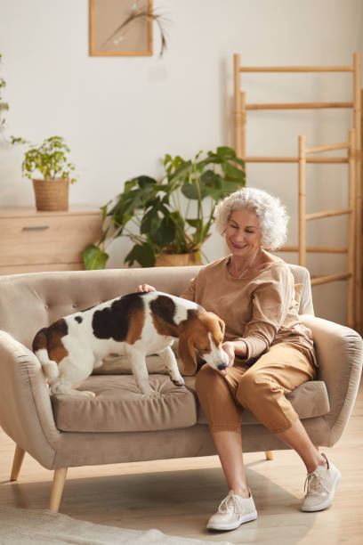 istock Senior Woman Sitting on Sofa with Dog 1269904335