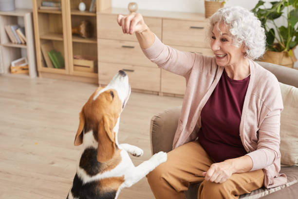 istock Happy Senior Woman Playing with Dg 1269904338