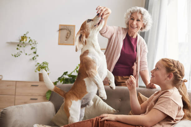 istock Family Playing with Dog at home 1269904345