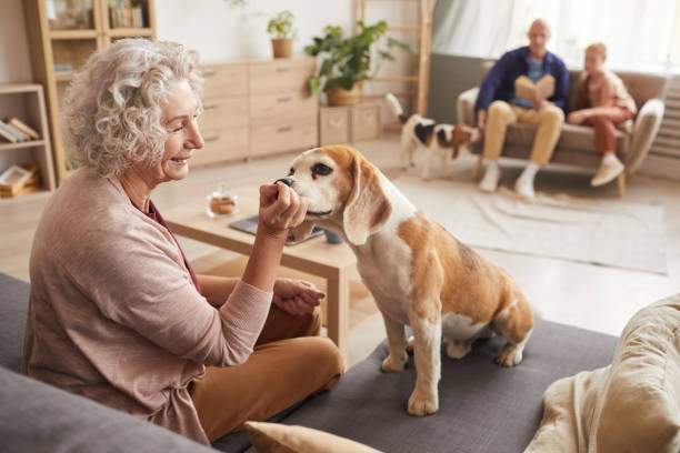 istock Smiling Senior Woman Playing with Senior Dog 1269904346