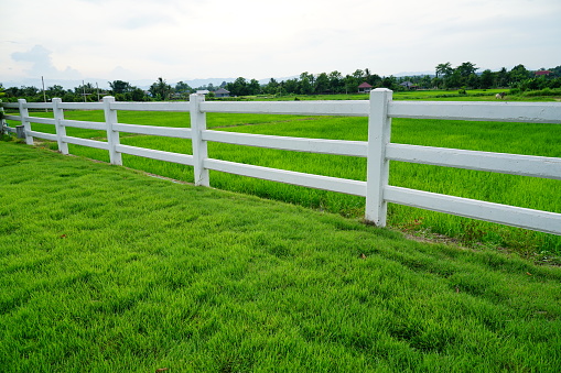 a white fence and field on green Background in nature