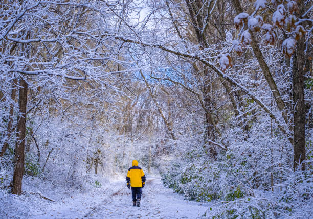 istock Man walking along snow-covered trail in the woods 1269908161