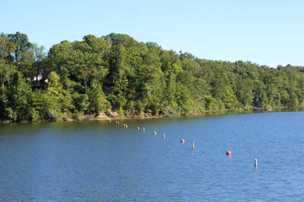 istock Peaceful Clear Day at the Lake 1269908214