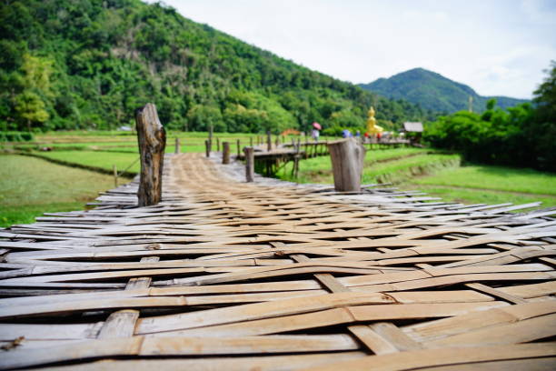 Bamboo walkway with green fields ฺBamboo walkway with fresh green rice field along the way. bamboo bridge stock pictures, royalty-free photos & images