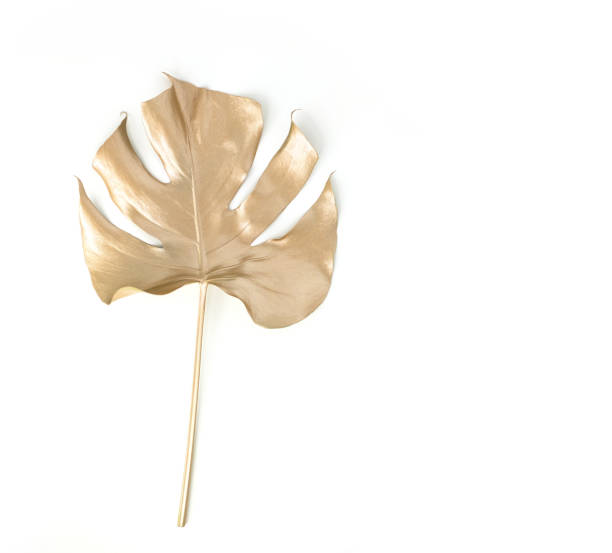 istock Golden palm leaf. Isolated on white. 1269914758