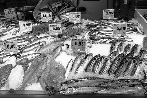 Fresh fish for sale at a market - Marbella, Spain - black and white photograph