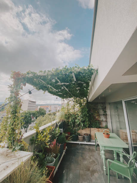 Photo of a romantic balcony garden over the city // mobile stock photo