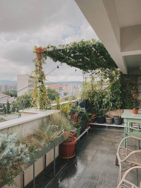 istock Romantic balcony garden over the city 1269920664