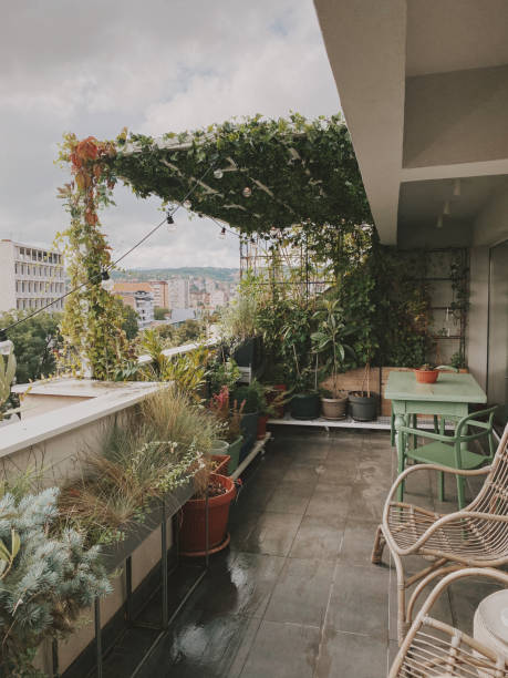 istock Romantic balcony garden over the city 1269920706