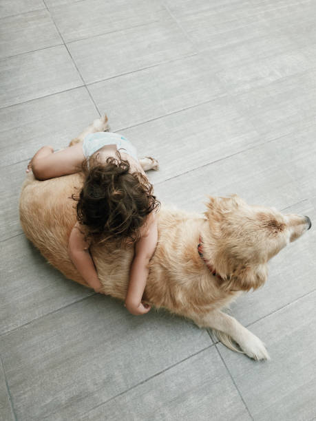 istock Little boy and his dog 1269920775
