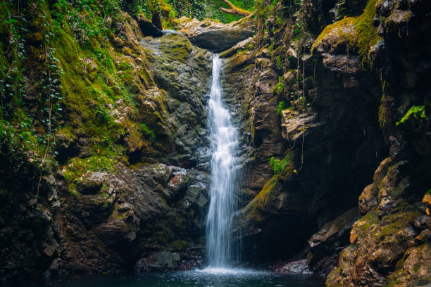 istock landscape with a mountain waterfall, water flow at a long exposure 1269921072