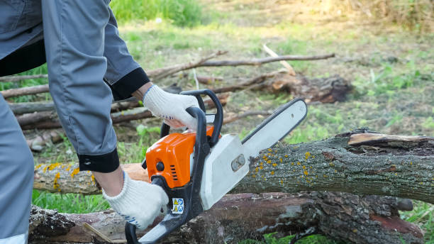 istock Chainsaw launch. A man in gray overalls cuts a log with a chainsaw 1269923235