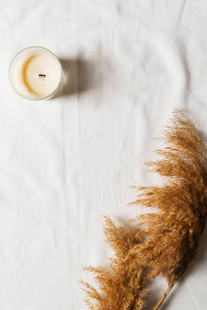 istock White textile texture background with papmpas grass and candle, mock up 1269924900