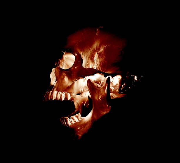istock Human skull in profile on a black background. Print, material for design 1269925176