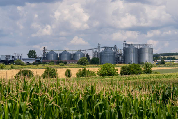 istock Agricultural Silo. Set of storage tanks 1269925177