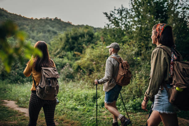 istock Young friends hikers walking along a path through the forest 1269928801