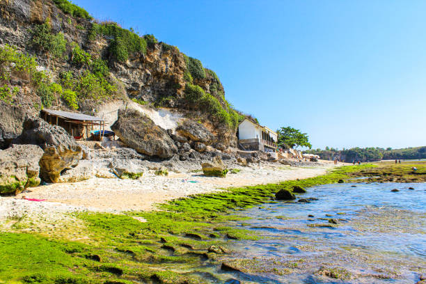 istock Pantai Bingin Beach, Bali, Indonesia 1269930312
