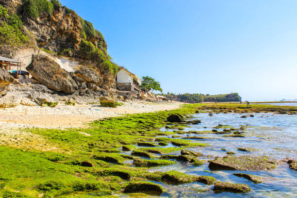 Pantai Bingin Beach, Bali, Indonesia