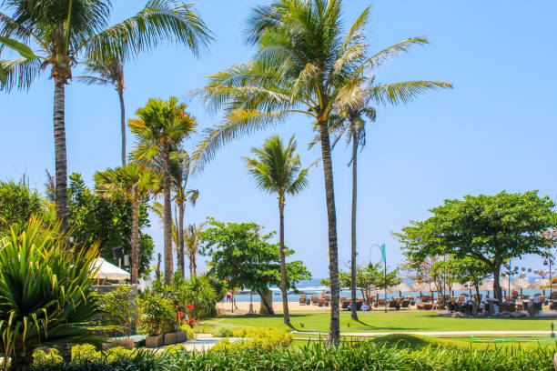 istock Nusa Dua Beach, Bali, Indonesia 1269930740