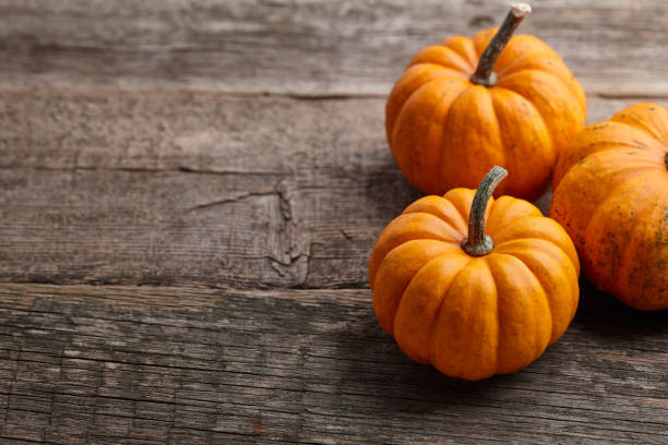 istock Beautiful mini pumpkins on wooden planks 1269936087