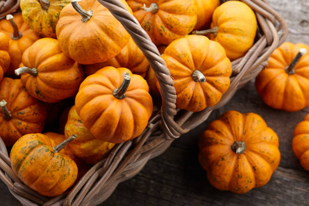 istock Beautiful mini pumpkins in basket 1269936141