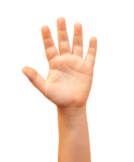 istock Raised hand and open palm isolated on white 1269938386