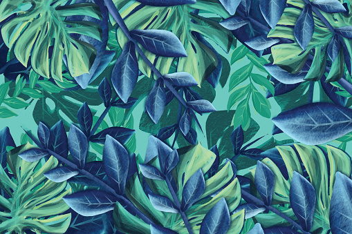 Exotic leaves background