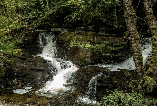 istock Waterfall: Rob Roy's Grave, Balquidder, Scotland. 1269941233