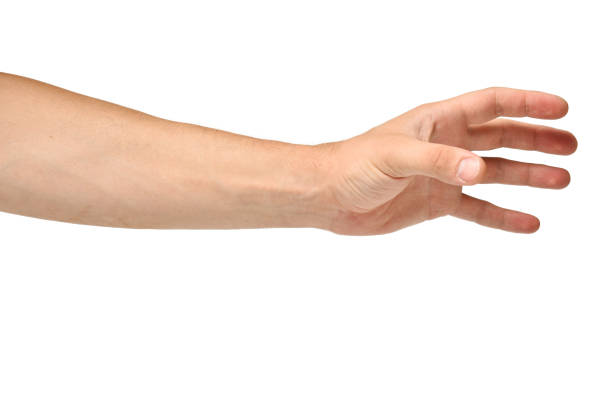 istock Men Hand Grasps on a White Background Isolated 1269941923