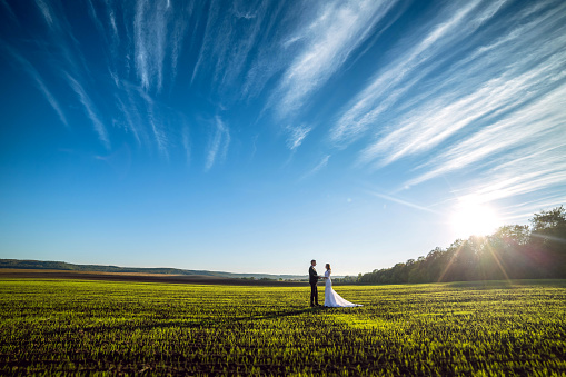 elegant groom and chic brunette bride on a background of nature and blue sky. View from afar.