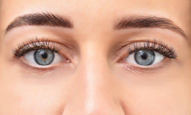 istock Finished result after dyeing eyebrows with henna, expressive look 1269948365