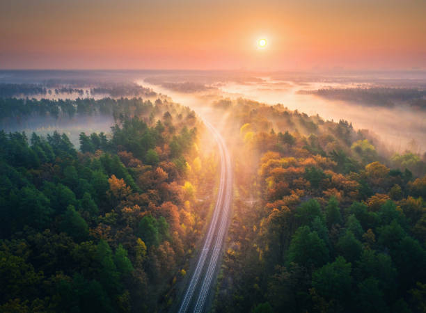 Aerial view of beautiful railroad in autumn forest in foggy sunrise. Industrial landscape with railway station, sky, trees with orange leaves, fog and sun rays. Top view of rural railroad and sunbeams vista aérea del hermoso ferrocarril en el bosque de otoño en el amanecer nebuloso. paisaje industrial con estación de tren, cielo, árboles con hojas de naranjos, niebla y rayos del sol. vista superior del ferrocarril rural y los rayos de sol