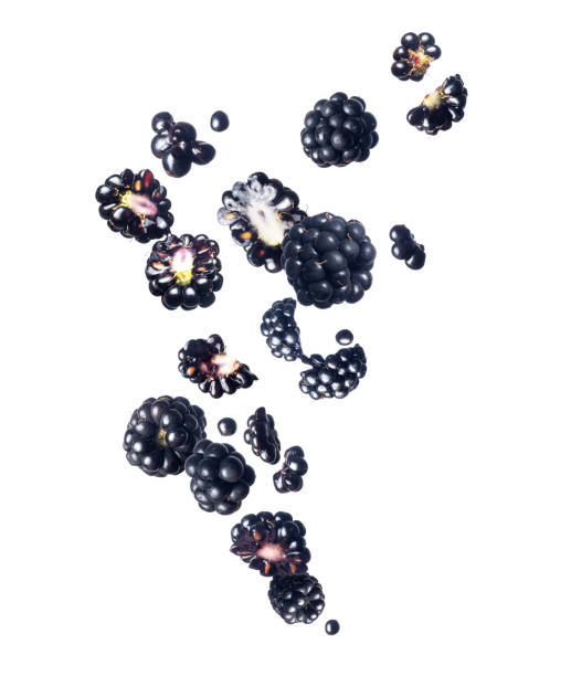istock Ripe blackberries in the air close-up on a white background 1269949391