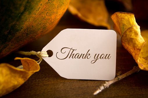 Thank you handwritten on a greeting card with pumpkin and fall leaves.
