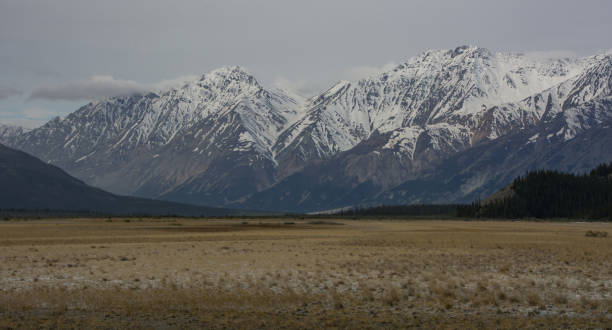 istock Snow covered mountains in Kluane National Park 1269954337