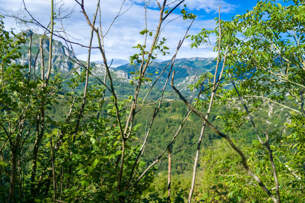 istock High mountain landscape in hdr 1269956726
