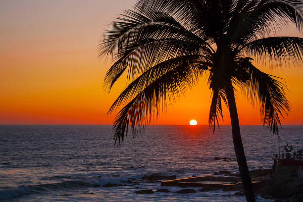 istock Palm silhouette and sunset at sea 1269958651