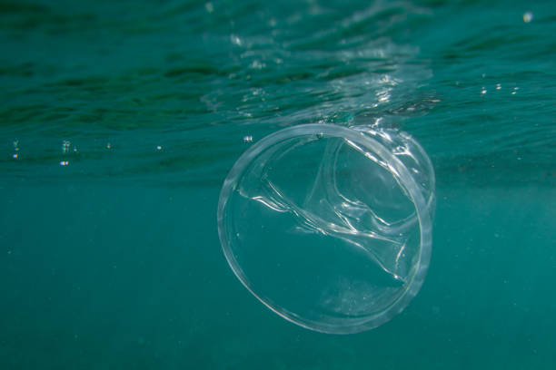 istock Plastic crumpled cup underwater in the ocean. Environmental pollution concept 1269958731