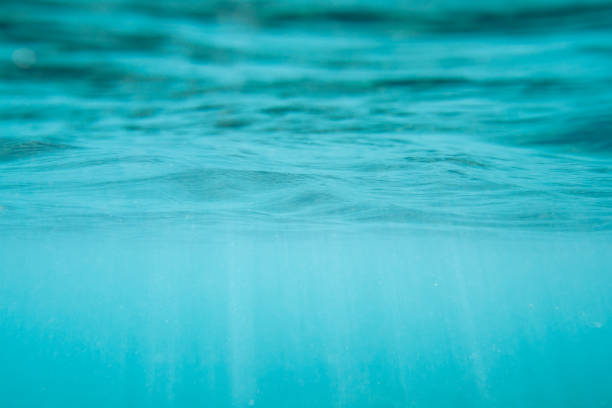 istock Calm transparent blue background under clear water in the open ocean. 1269959574
