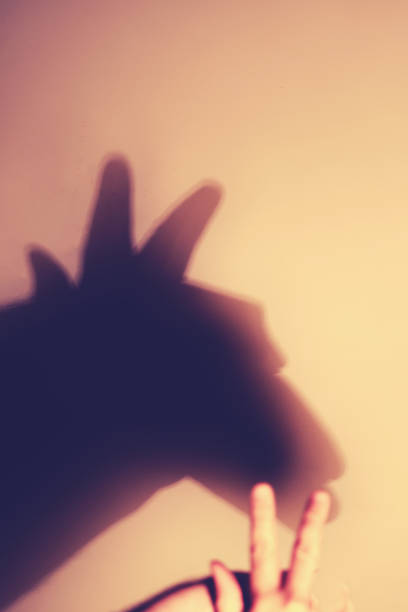 istock Shadows play on the wall, animal silhouette. Selective focus on shadow hand 1269959834