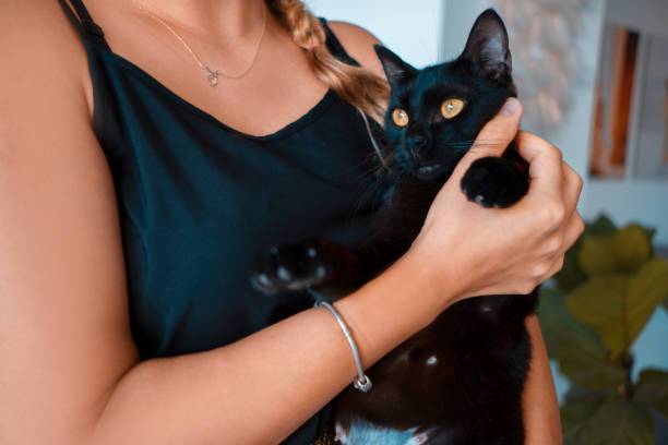 istock Cat loving woman. 1269960571