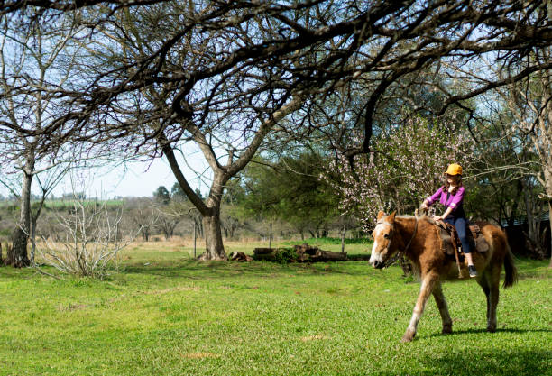 istock girls on horseback 1269961502